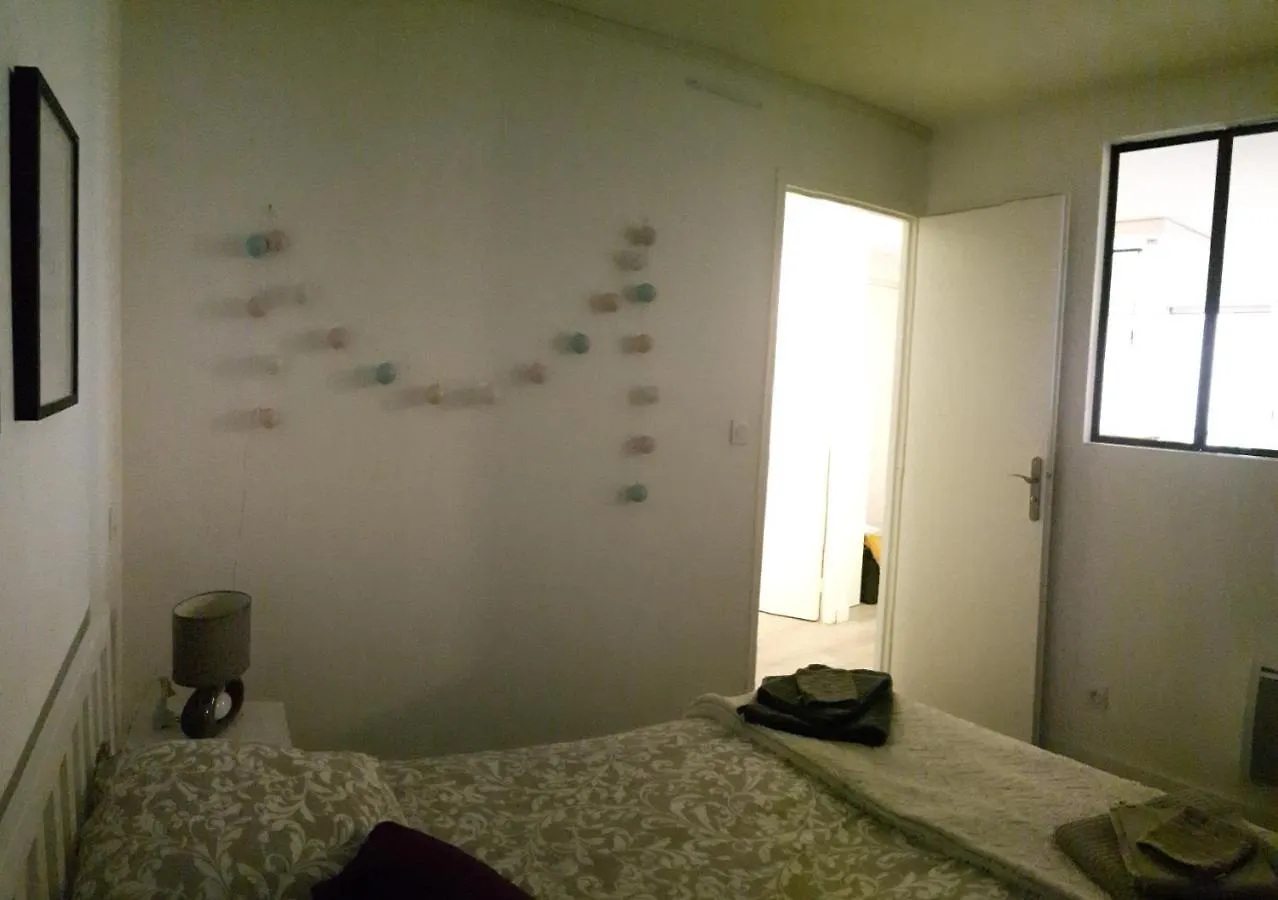 Toulouse Hypercentre - Au Calme Des Salenques Apartment