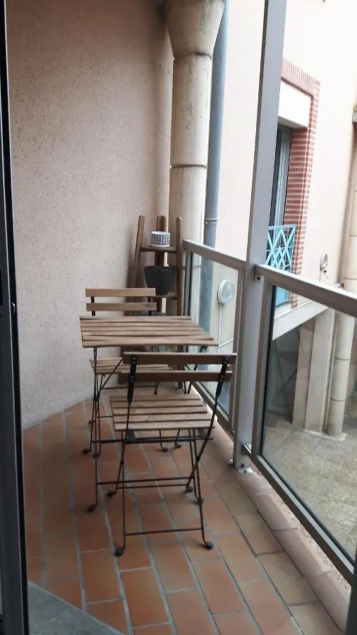 Apartmán Toulouse Hypercentre - Au Calme Des Salenques